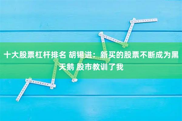 十大股票杠杆排名 胡锡进：新买的股票不断成为黑天鹅 股市教训了我