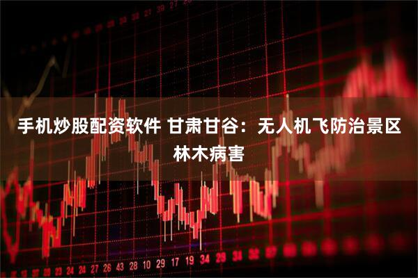 手机炒股配资软件 甘肃甘谷：无人机飞防治景区林木病害